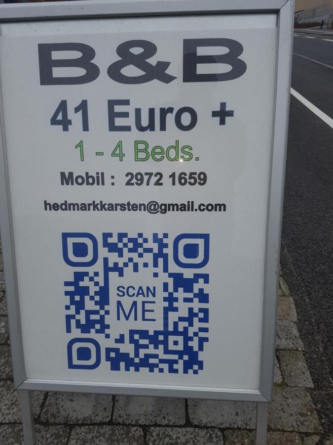 B&B Nyborg. 41 Euro + Zewnętrze zdjęcie